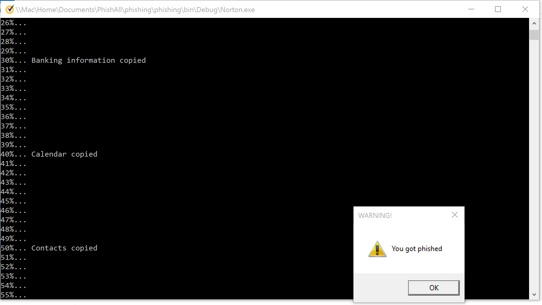The Human Machine, fake antivirus executable.